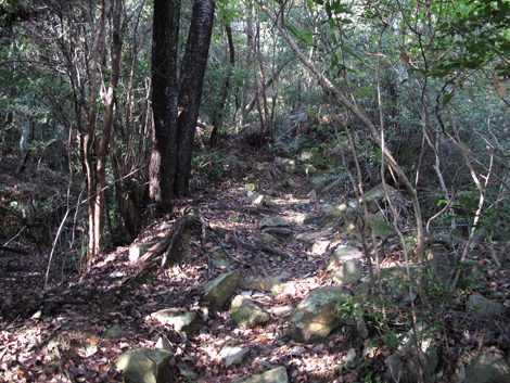 20131116hike (31)